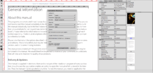 VIVA Finanzdienstleistungen: Währungs- und Zahlungssystem mit VIVA-Punkten